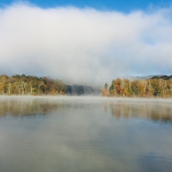 Meet your Posher, Darlene - Picture 1 of 1